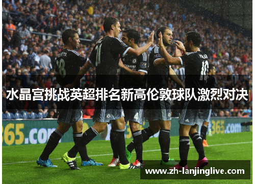 水晶宫挑战英超排名新高伦敦球队激烈对决